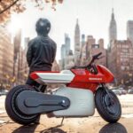 Ichiban e-bike (5)
